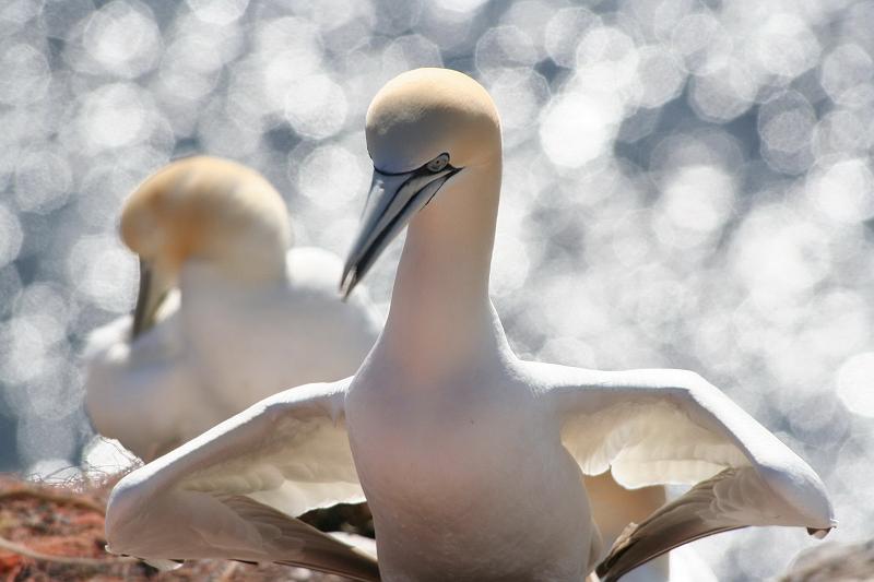 DP-2011-007 Bild0211c.JPG